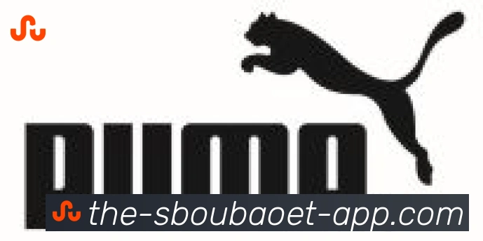 利记sbobet体育合作伙伴